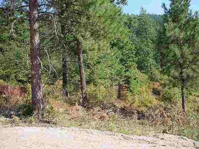 0 East Emery Road Chattaroy, WA 99003 - Photo 9 of 9