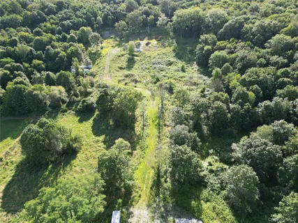 a close up of a plant