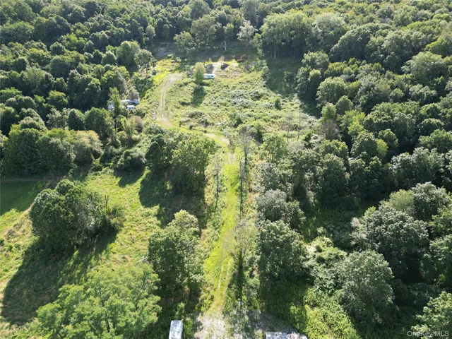 a close up of a plant