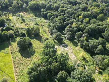 a close up of a plant in a garden