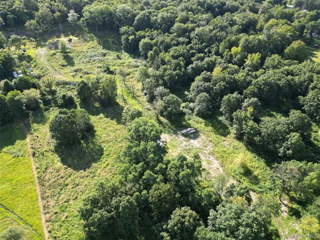 a close up of a plant in a garden