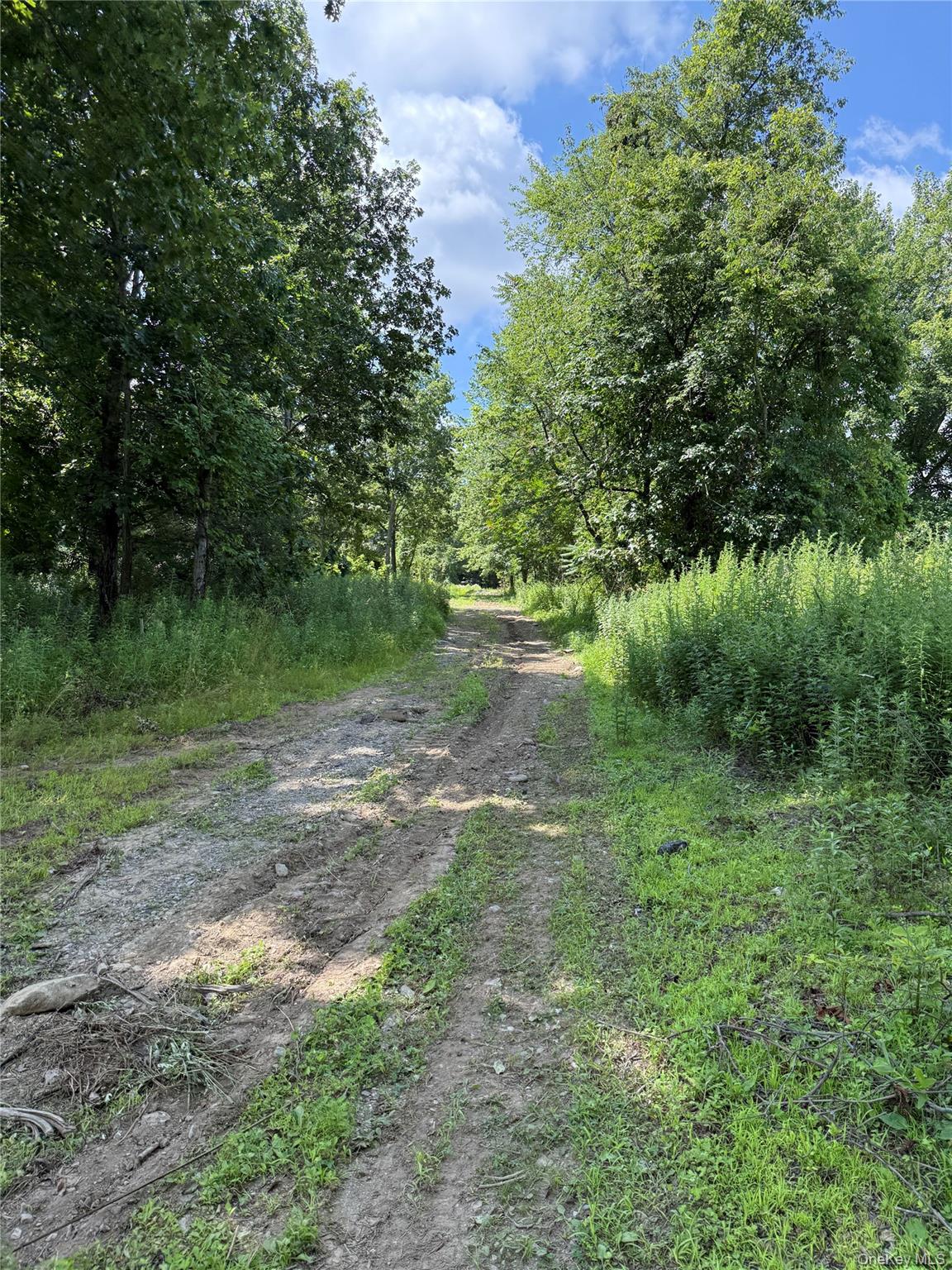 36 Gem Mountain LaGrangeville, NY 12540 - Photo 15 of 25 a view of outdoor space and yard