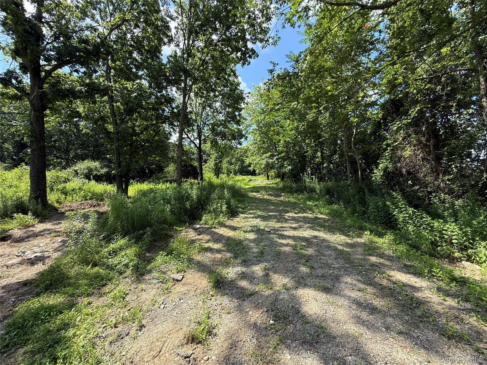36 Gem Mountain LaGrangeville, NY 12540 - Photo 17 of 25 a big yard with lots of green space and deers