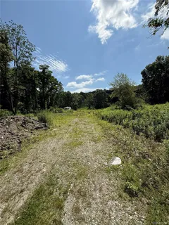 a view of a green field with lots of green space