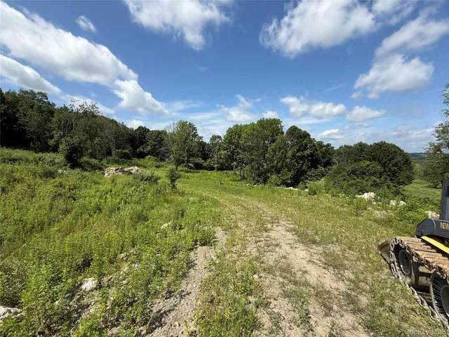 a big yard with lots of bushes and trees