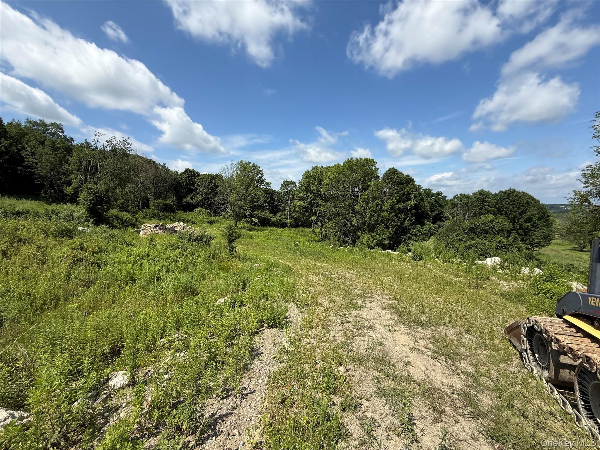 36 Gem Mountain LaGrangeville, NY 12540 - Photo 19 of 25 a view of a green field with lots of green space