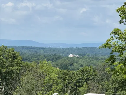 a view of a field of grass and trees