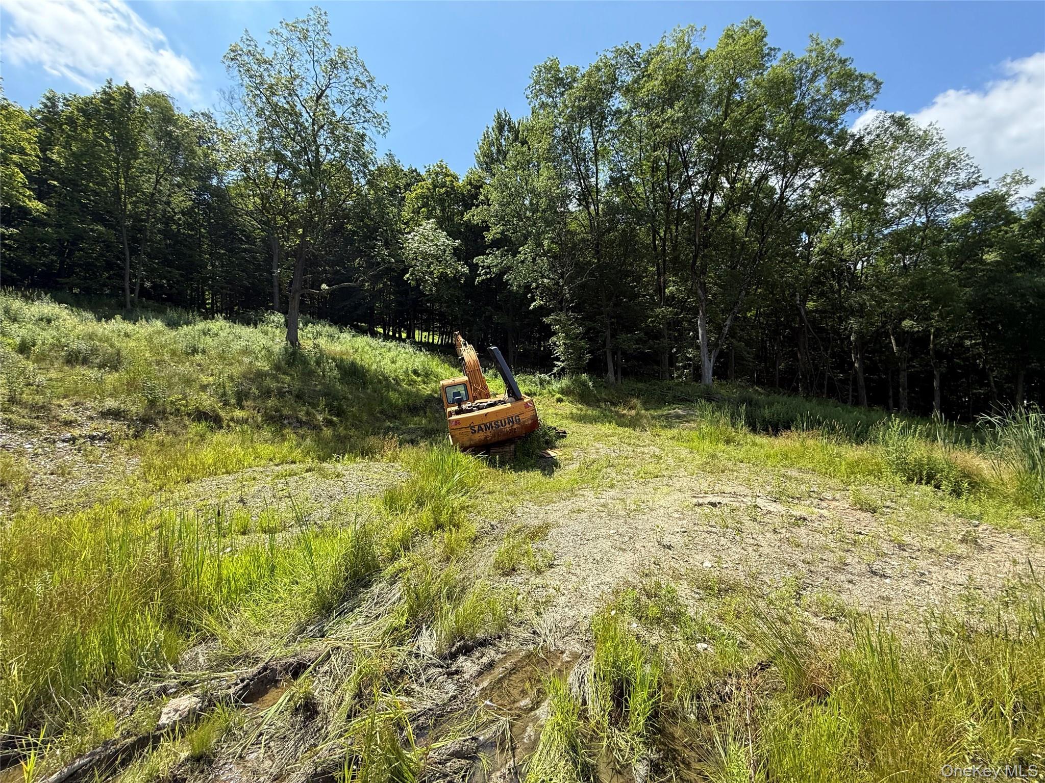 36 Gem Mountain LaGrangeville, NY 12540 - Photo 23 of 25 a view of outdoor space and yard