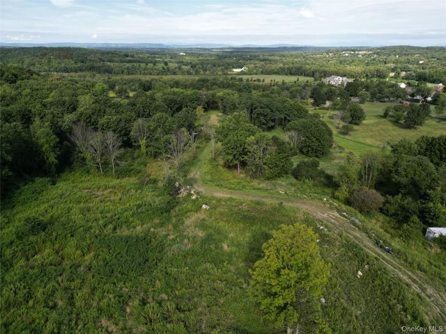 a view of a city with lush green forest
