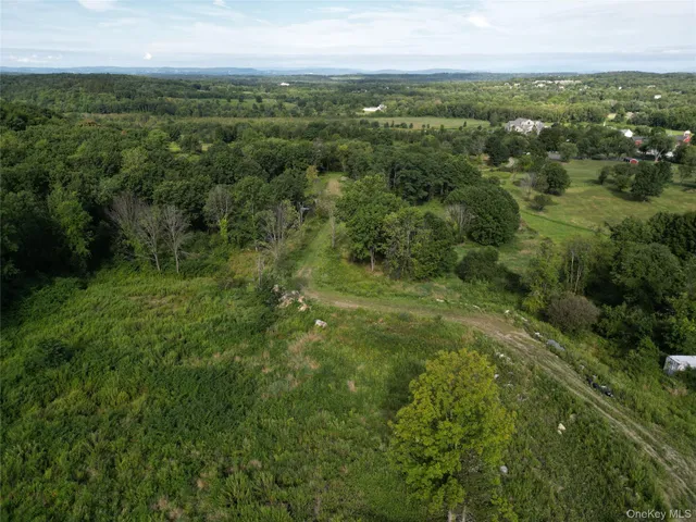 a view of a city with lush green forest