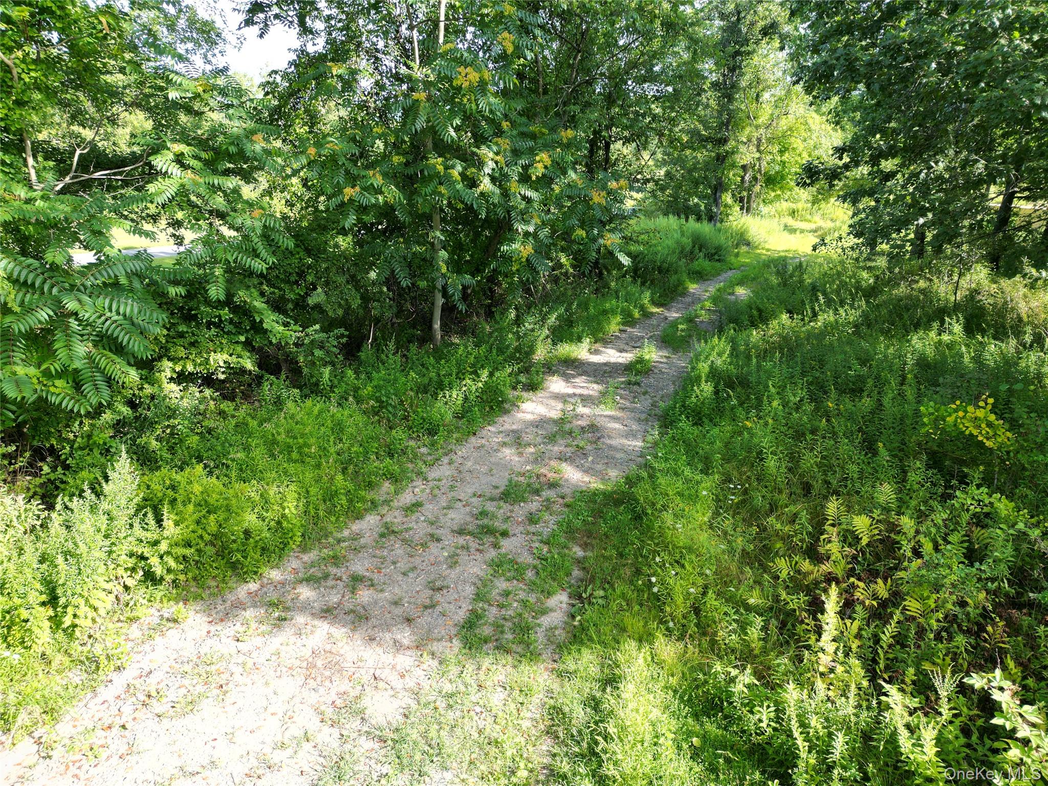 36 Gem Mountain LaGrangeville, NY 12540 - Photo 4 of 25 a view of a yard with plants and large trees