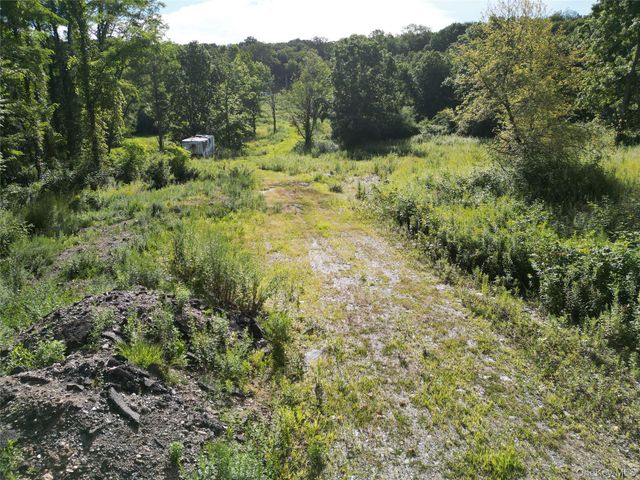 a view of a forest with a tree