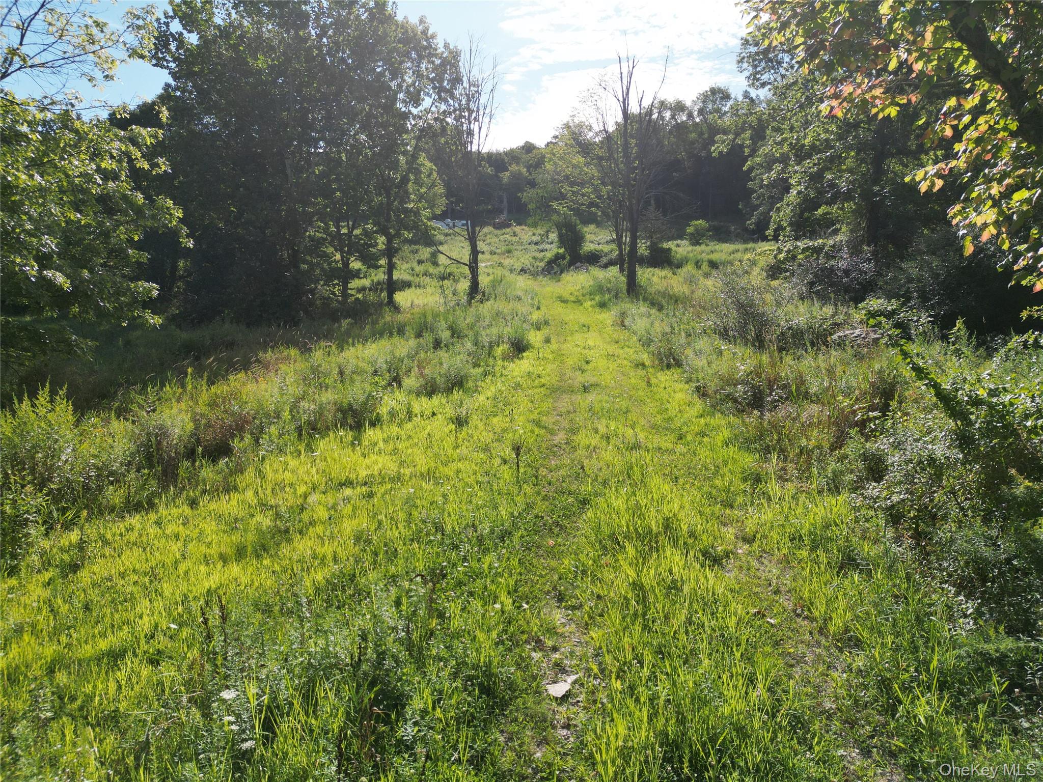 36 Gem Mountain LaGrangeville, NY 12540 - Photo 6 of 25 a backyard of a house with lots of green space and trees