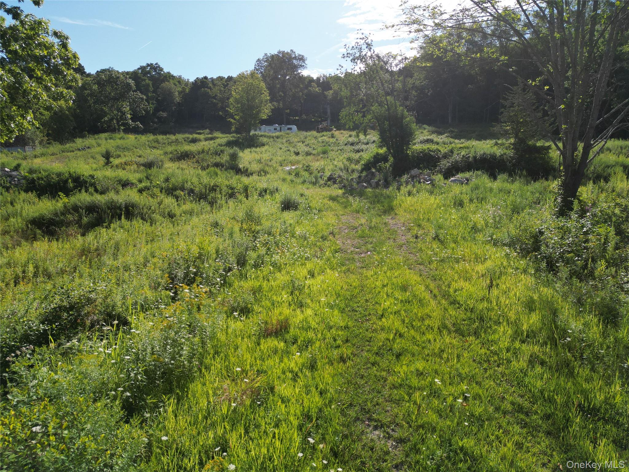 36 Gem Mountain LaGrangeville, NY 12540 - Photo 7 of 25 a view of a lush green forest
