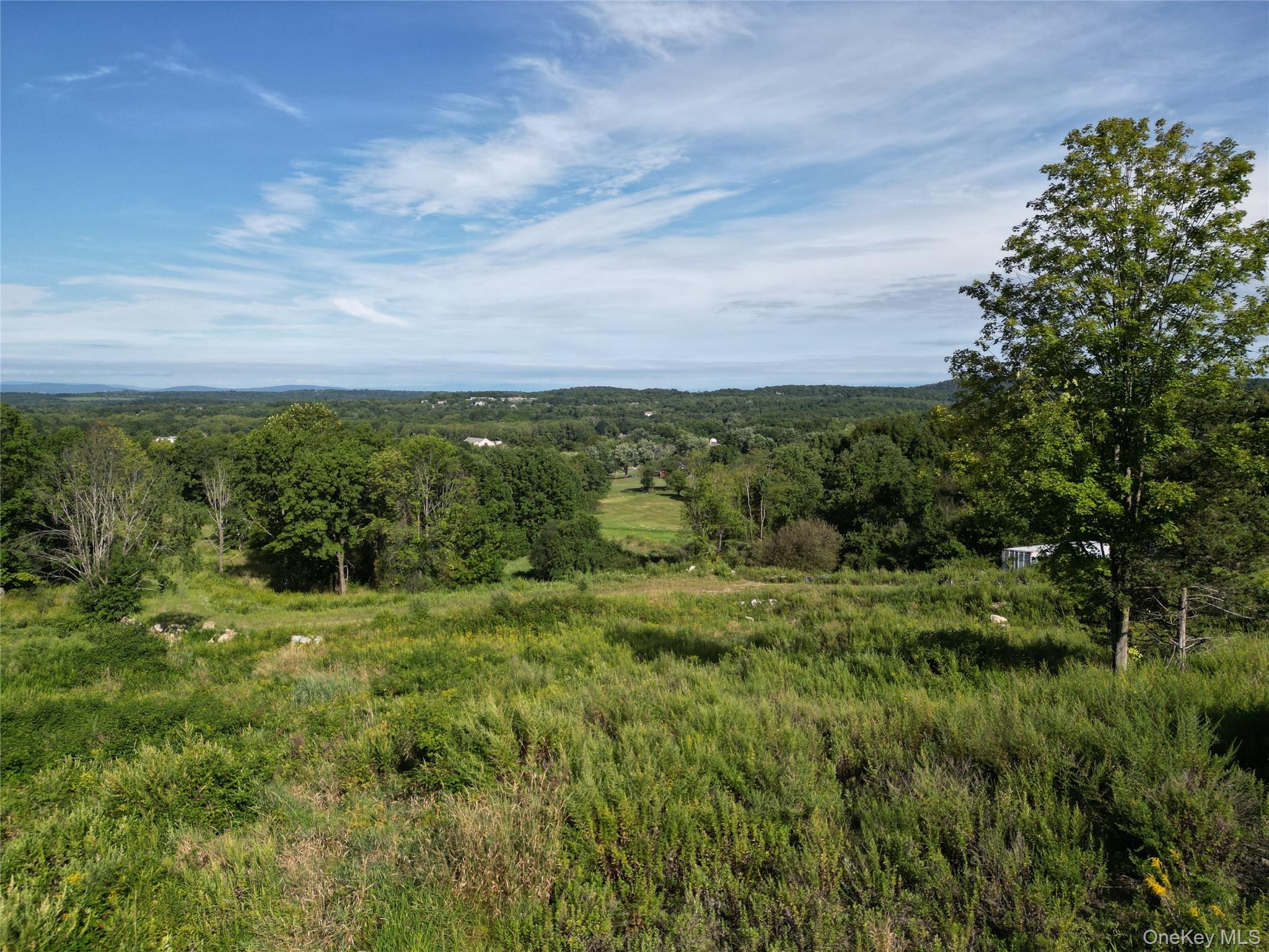 36 Gem Mountain LaGrangeville, NY 12540 - Photo 9 of 25 a view of a green field with lots of bushes