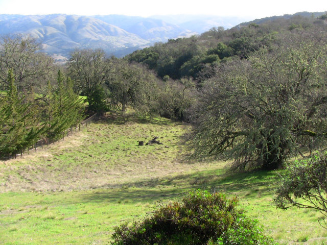34961 Sky Ranch Road Carmel Valley, CA 93924 - Photo 6 of 25 Gallery Image 6