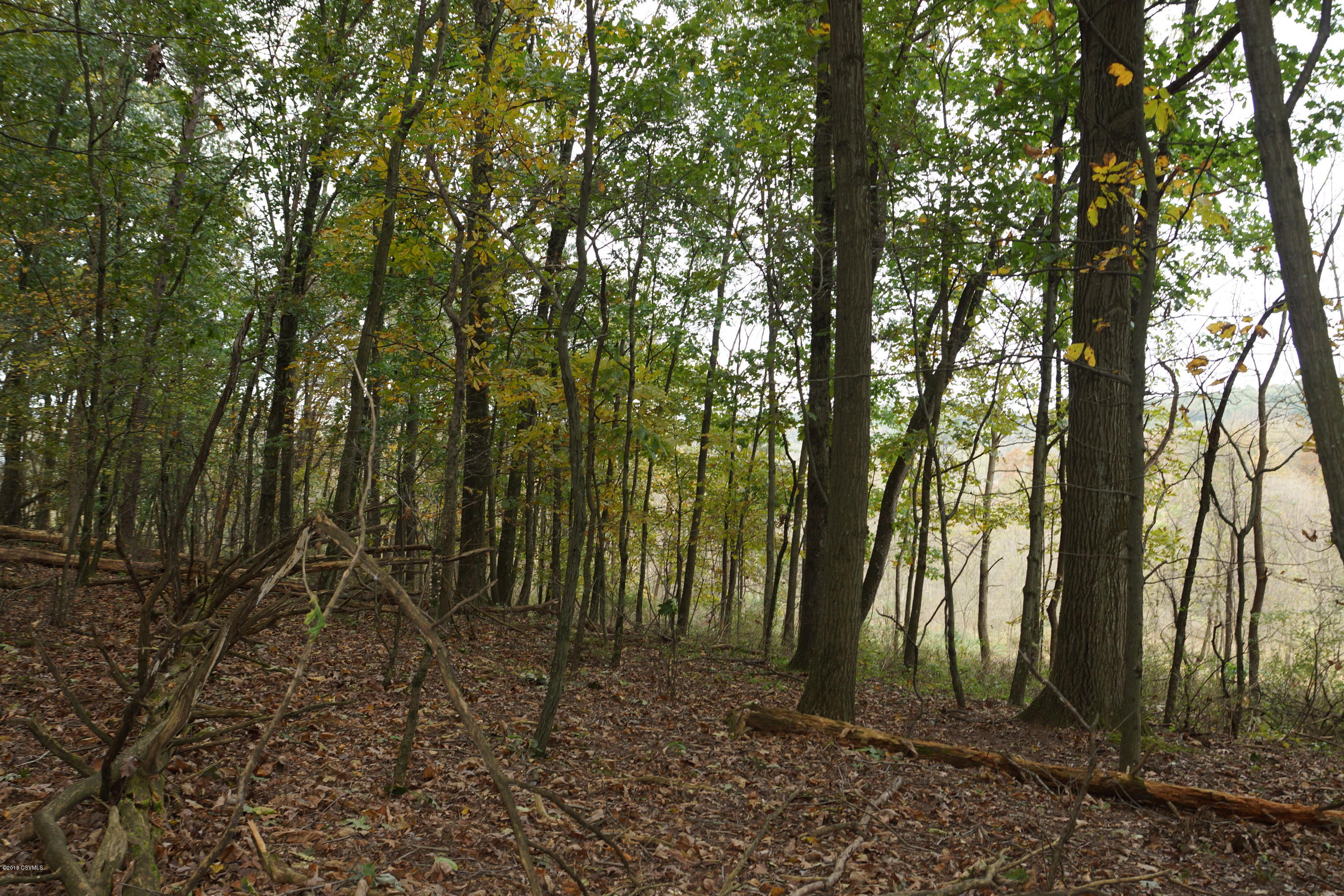 Lot 4 Milroy Road New Columbia, PA 17856 - Photo 5 of 27