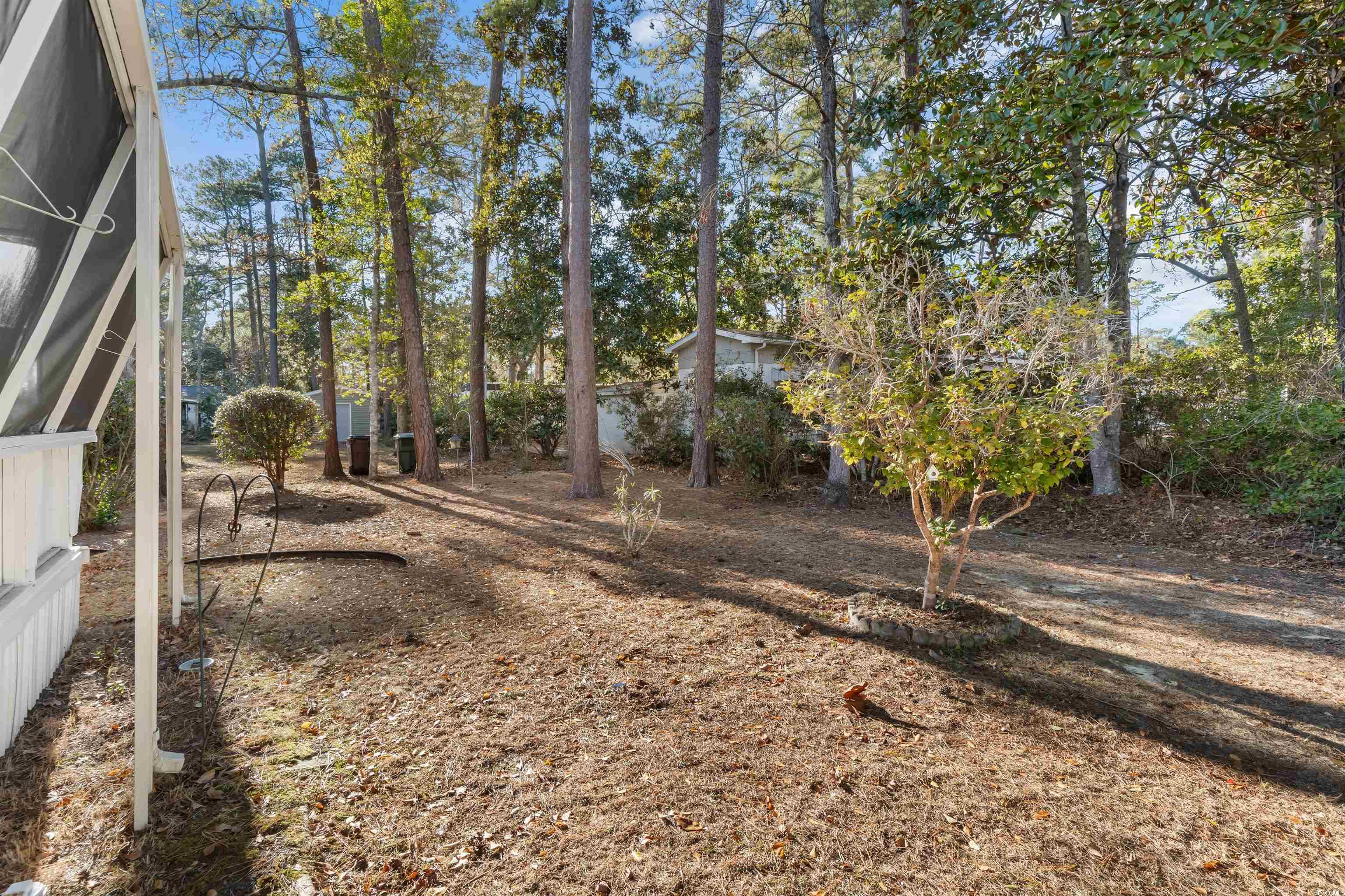 2950 Clemson Trail Murrells Inlet, SC 29576 - Photo 26 of 29 View of yard