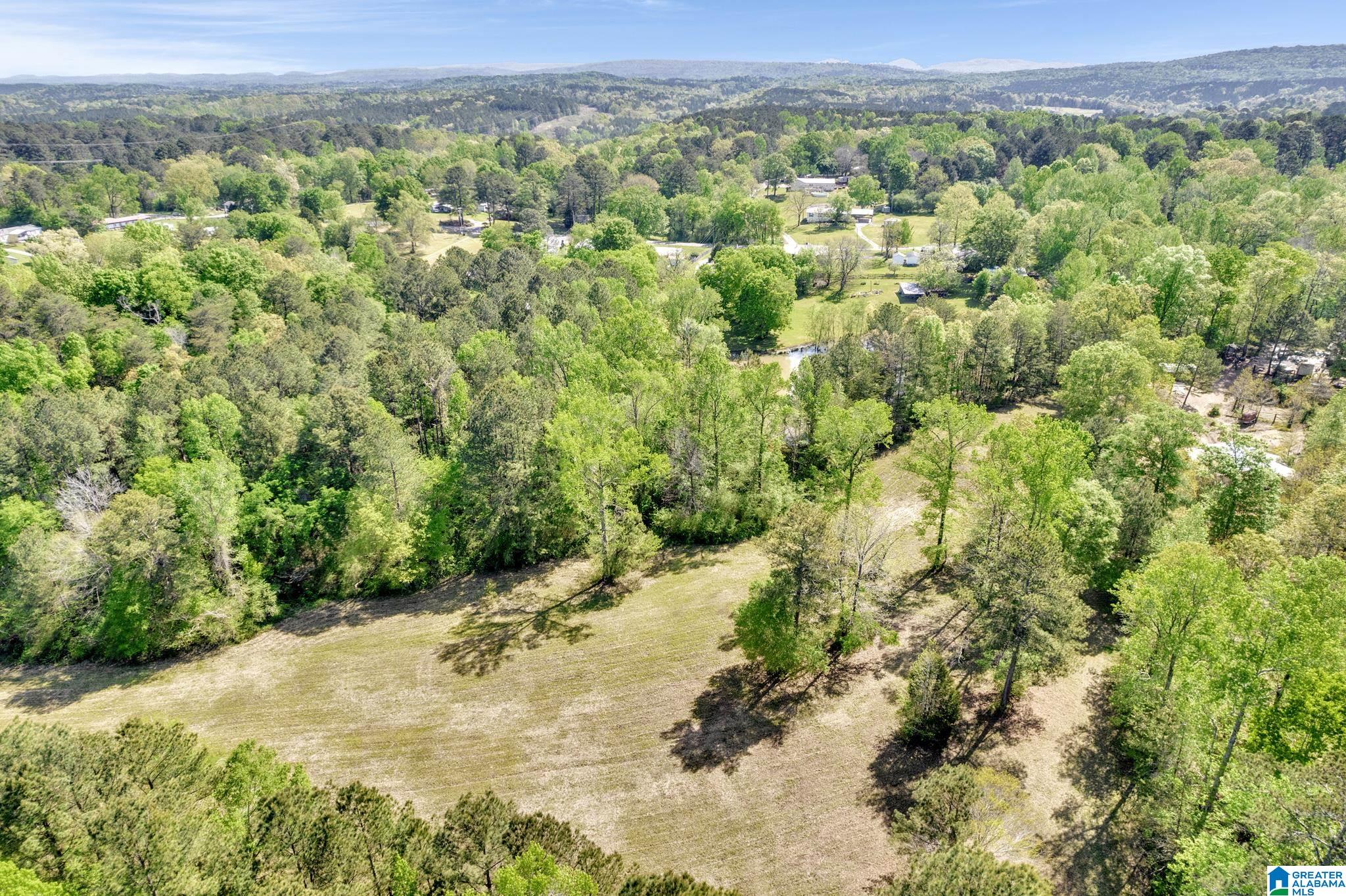 6776 New Castle Road Morris, AL 35116 - Photo 28 of 39