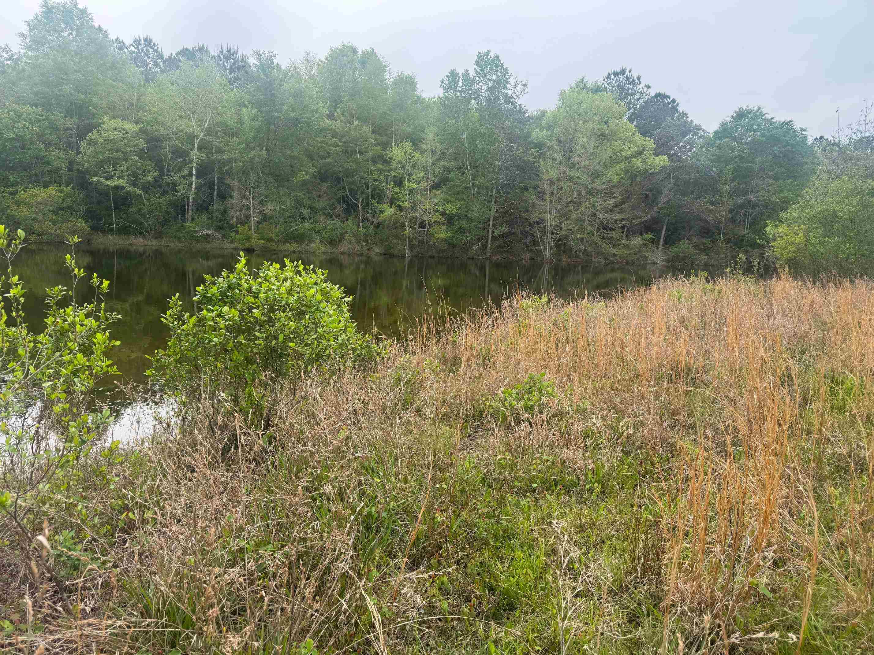 0 Co Road Andalusia, AL 36420 - Photo 10 of 34 Gallery Image 10