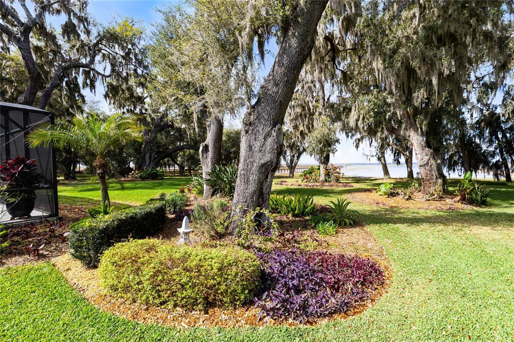 4846 Calasans Avenue St. Cloud, FL 34771 - Photo 41 of 61 a view of a garden with a tree