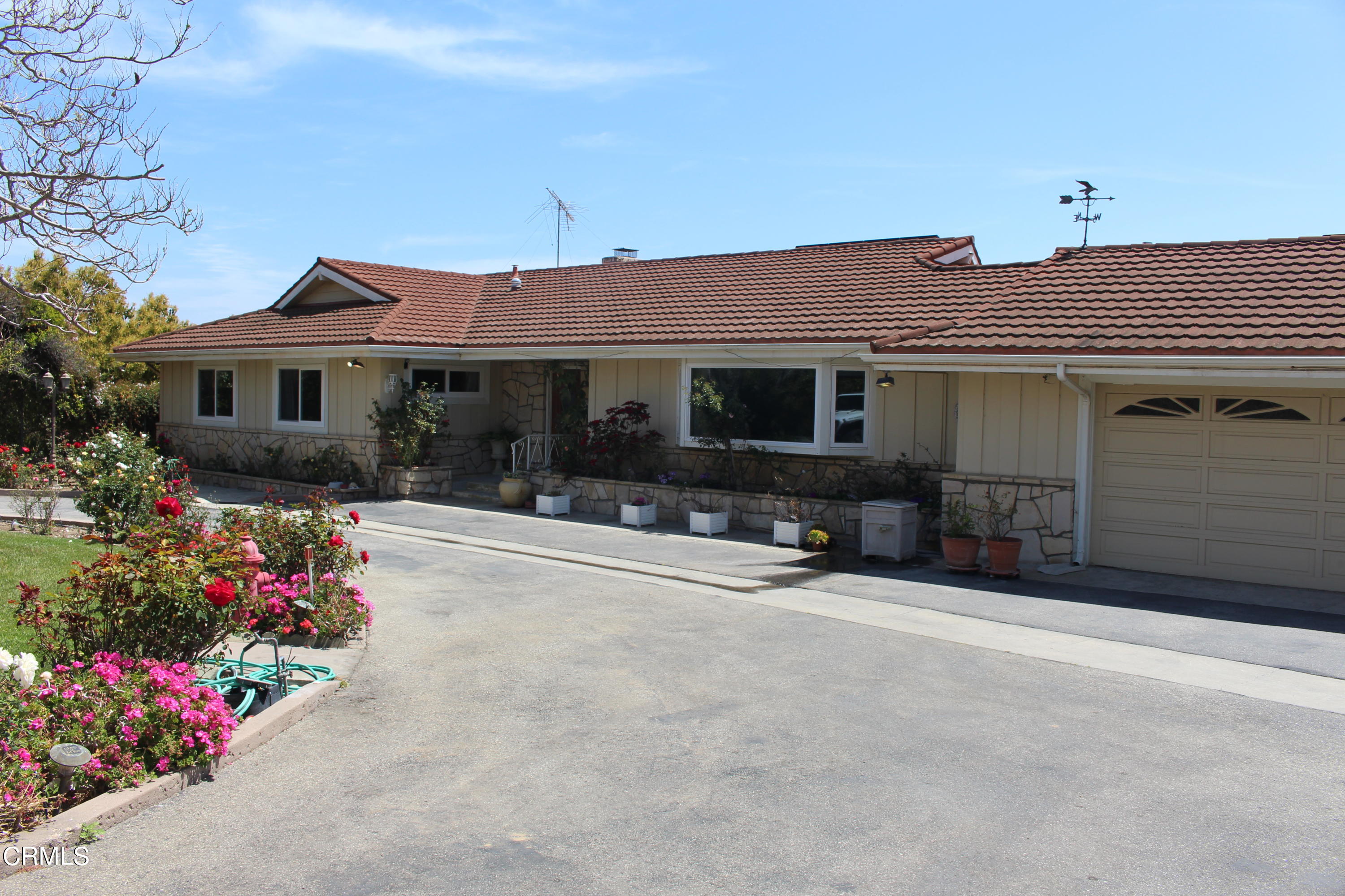 11176 Foothill Road Santa Paula, CA 93060 - Photo 2 of 52 IMG_4951