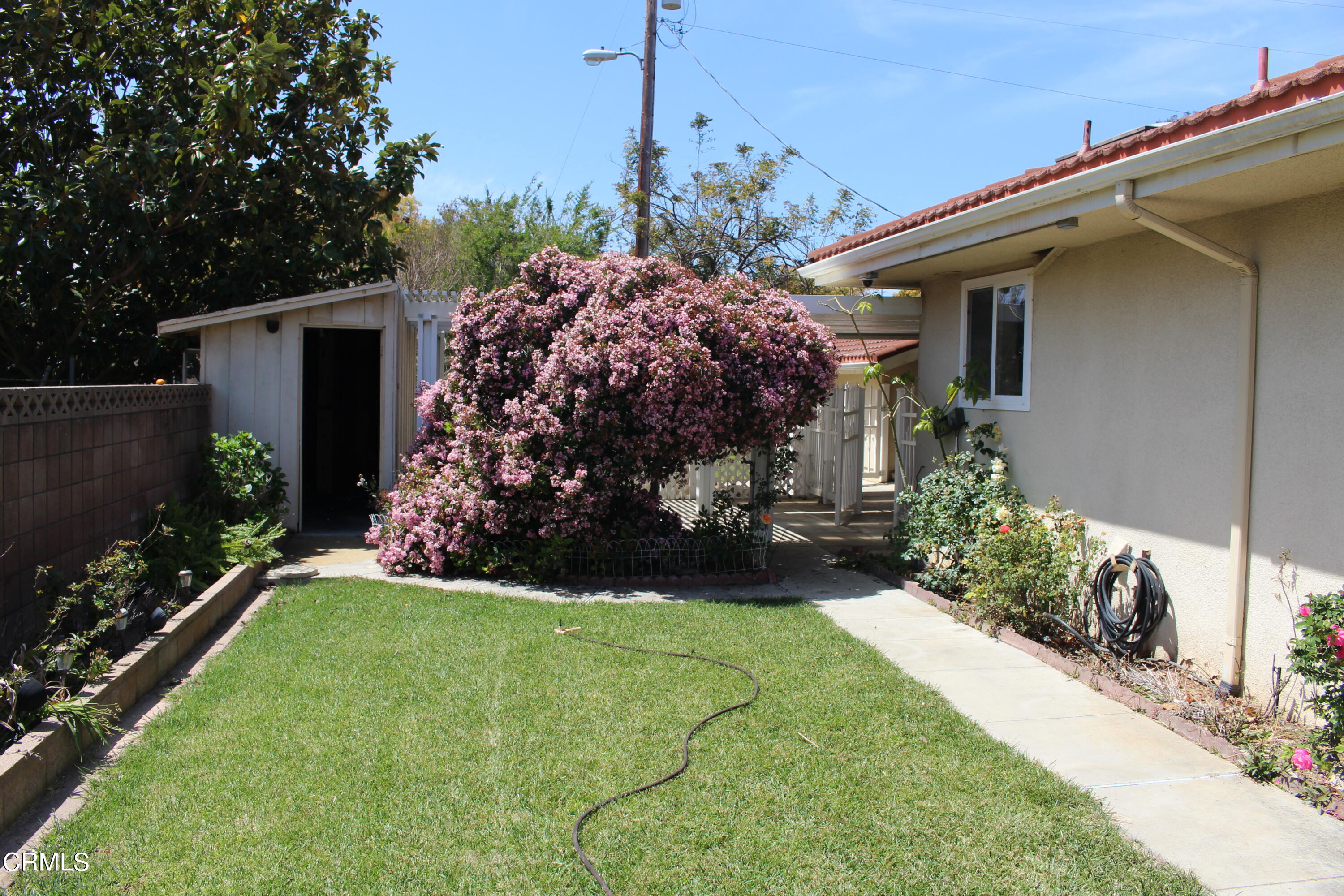 11176 Foothill Road Santa Paula, CA 93060 - Photo 32 of 52 IMG_4949