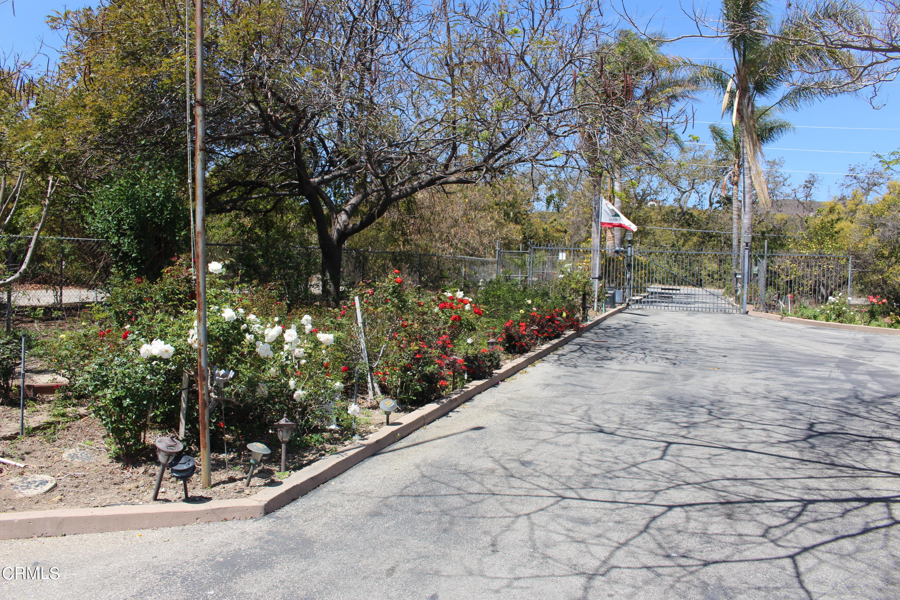 11176 Foothill Road Santa Paula, CA 93060 - Photo 33 of 52 IMG_4952