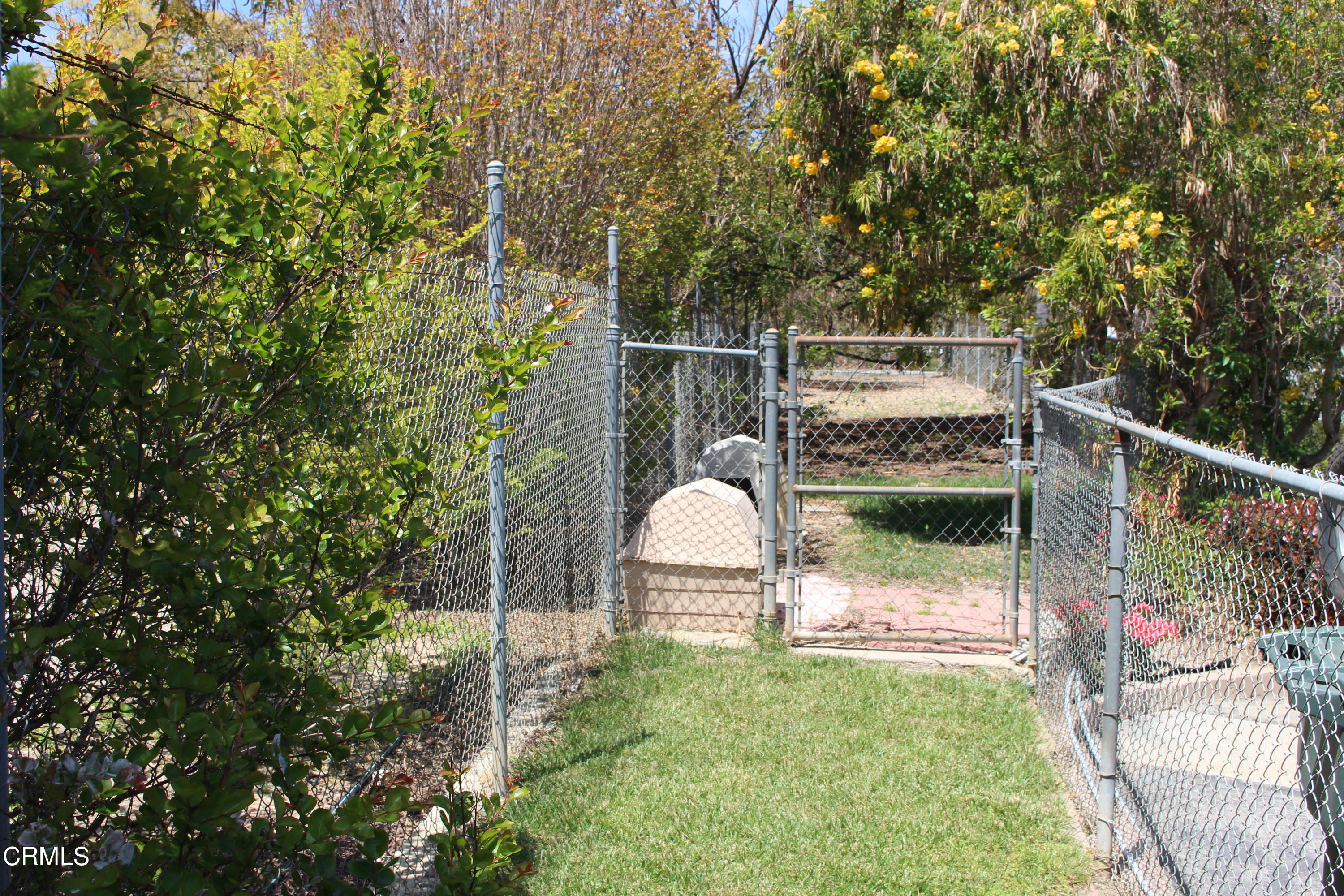 11176 Foothill Road Santa Paula, CA 93060 - Photo 34 of 52 IMG_4961