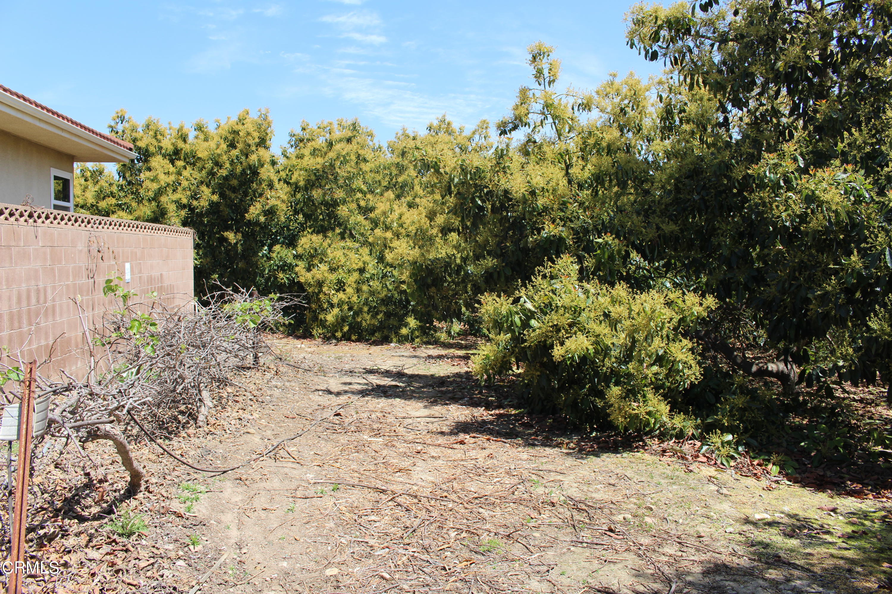 11176 Foothill Road Santa Paula, CA 93060 - Photo 39 of 52 IMG_4966