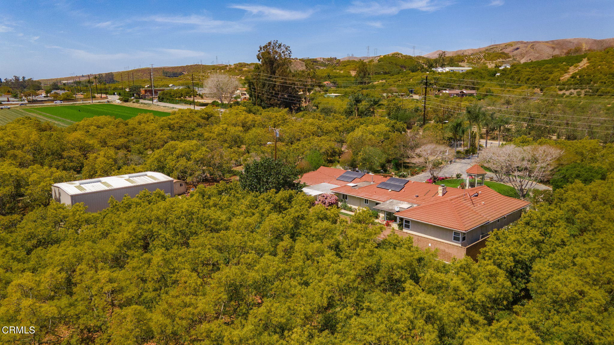 11176 Foothill Road Santa Paula, CA 93060 - Photo 5 of 52 7-web-or-mls-UpmarketMedia_11176Foothill