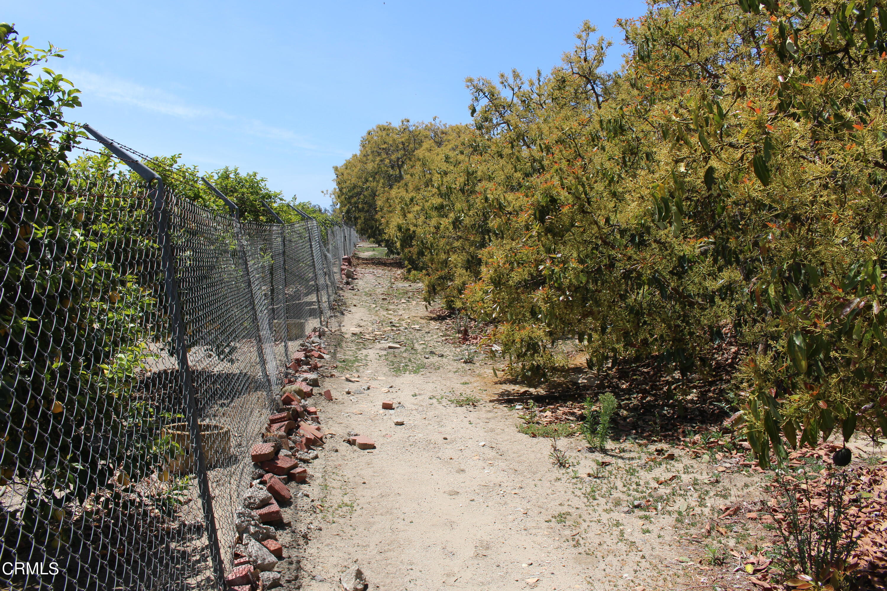 11176 Foothill Road Santa Paula, CA 93060 - Photo 46 of 52 IMG_4974