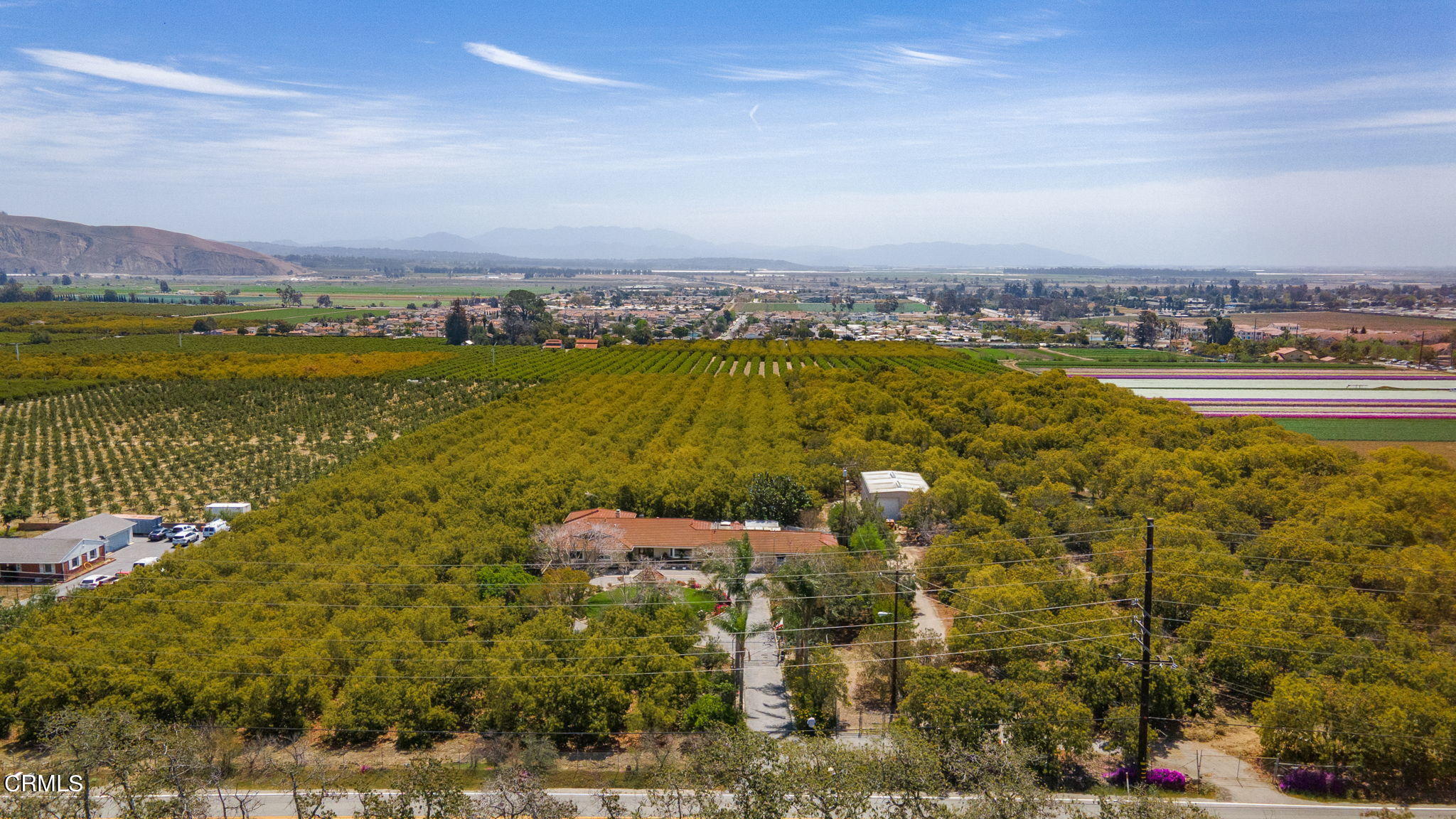 11176 Foothill Road Santa Paula, CA 93060 - Photo 48 of 52 8-web-or-mls-UpmarketMedia_11176Foothill