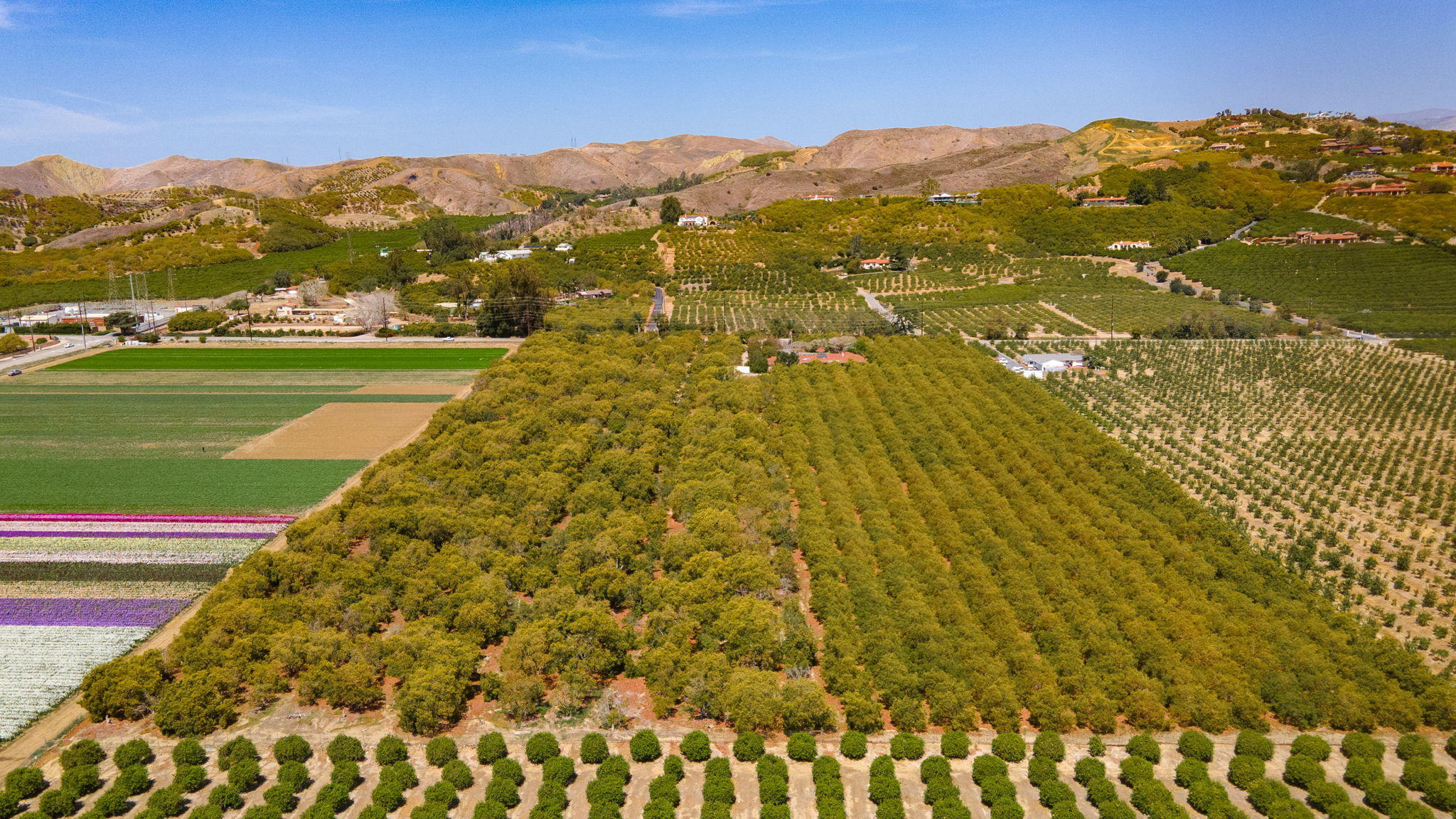 11176 Foothill Road Santa Paula, CA 93060 - Photo 49 of 52 11-web-or-mls-UpmarketMedia_11176Foothil