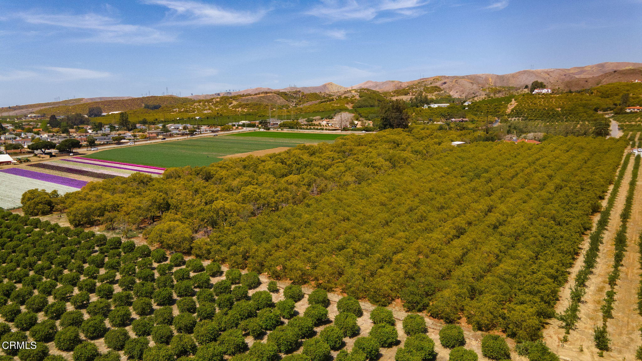 11176 Foothill Road Santa Paula, CA 93060 - Photo 50 of 52 12-web-or-mls-UpmarketMedia_11176Foothil