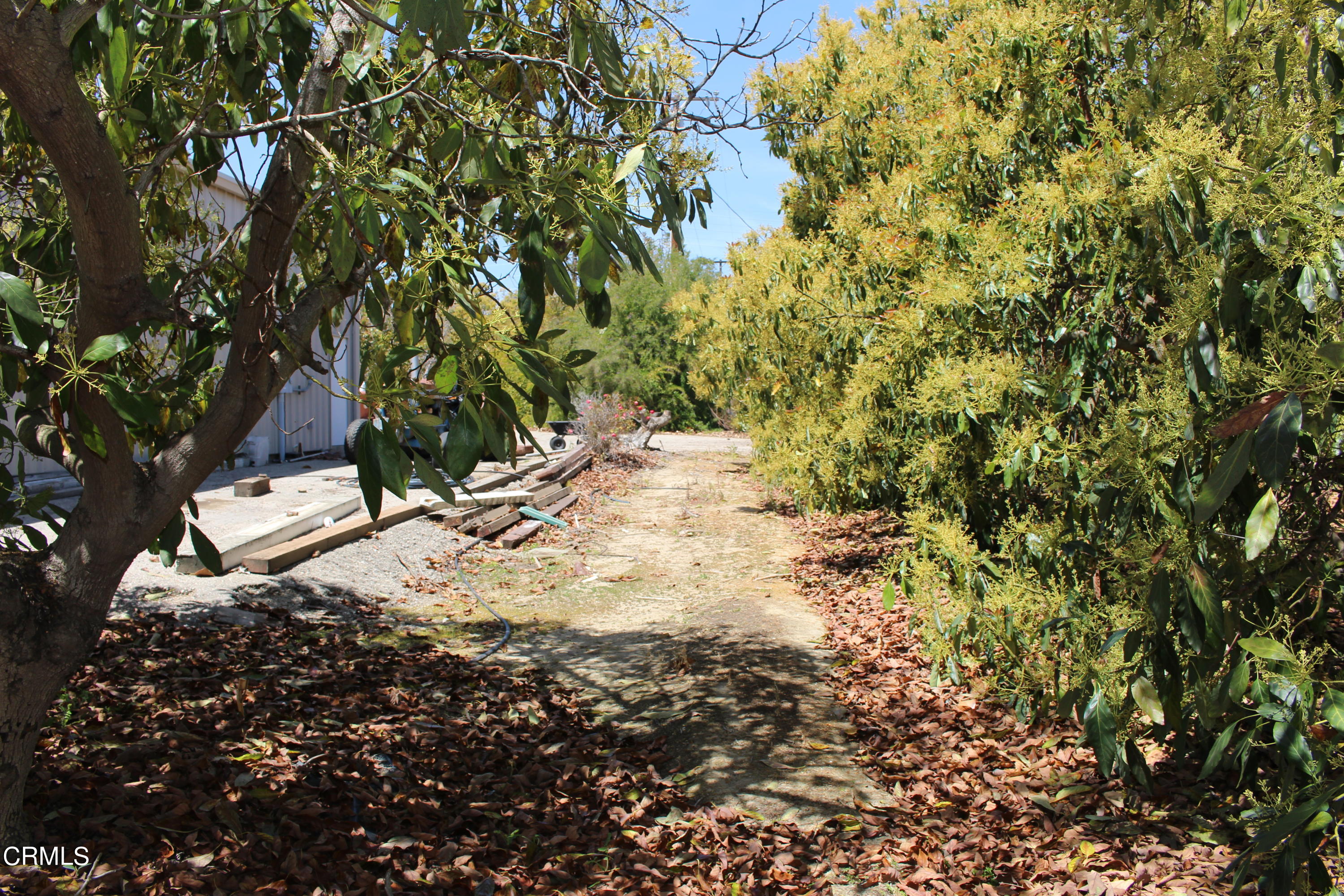 11176 Foothill Road Santa Paula, CA 93060 - Photo 52 of 52 IMG_4977