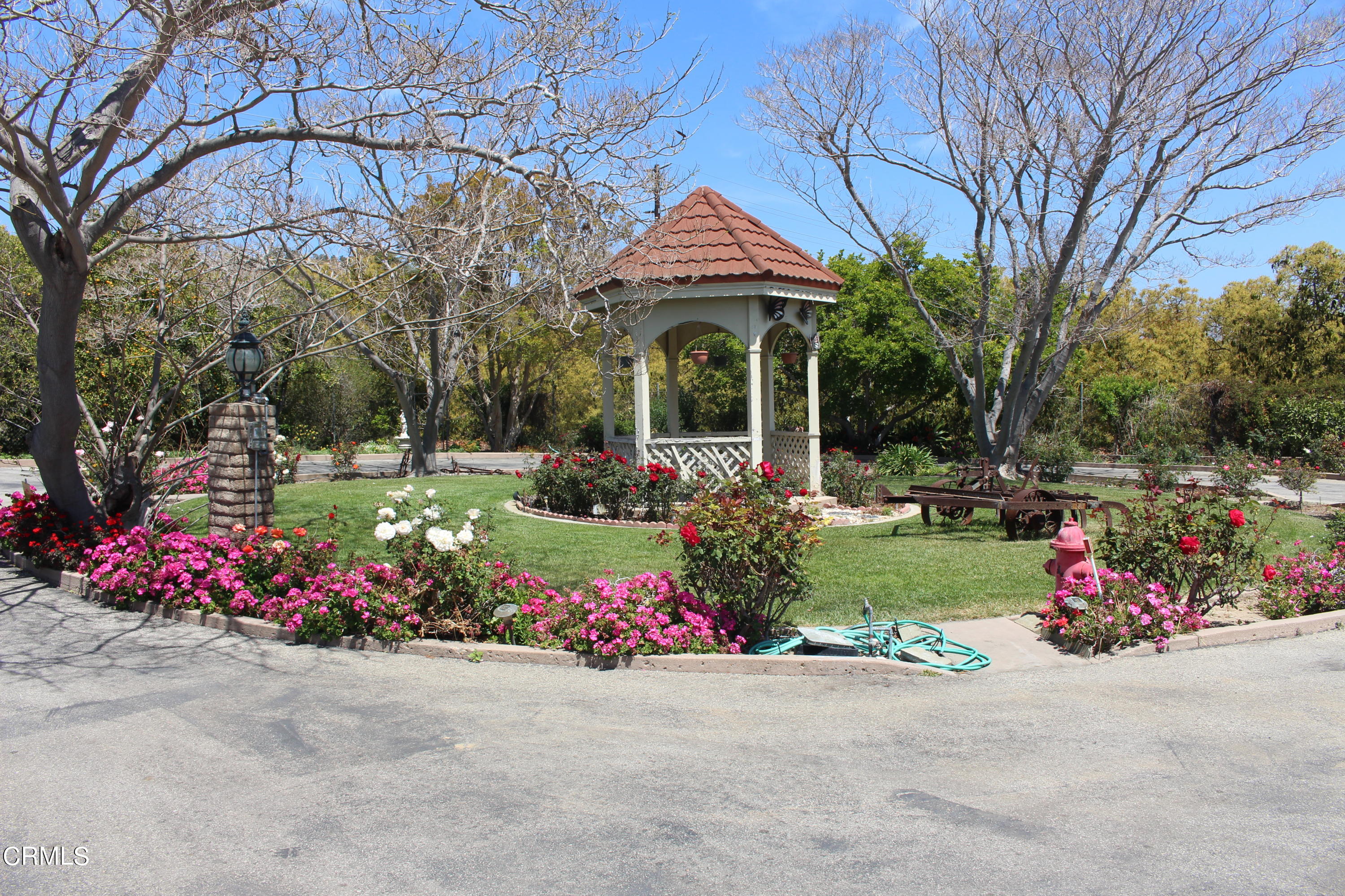 11176 Foothill Road Santa Paula, CA 93060 - Photo 7 of 52 IMG_4950