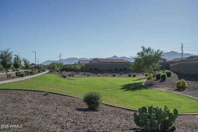 a view of a garden with lawn chairs