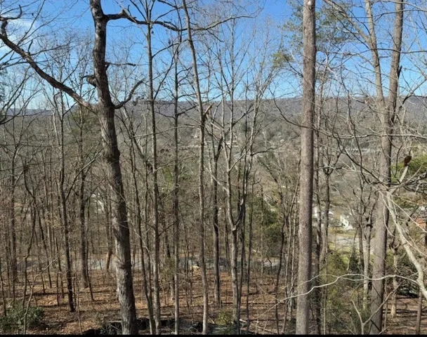 $585,000 | 3561 Knollwood Hill Drive, Chattanooga, TN 37415