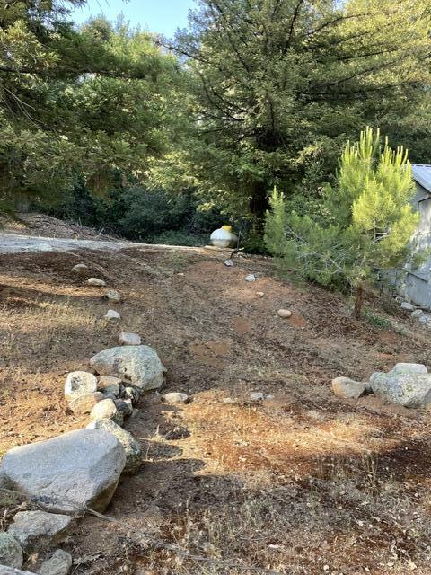 46967 Blue Ridge Drive Springville, CA 93265 - Photo 72 of 83 a view of a yard with plants and large trees