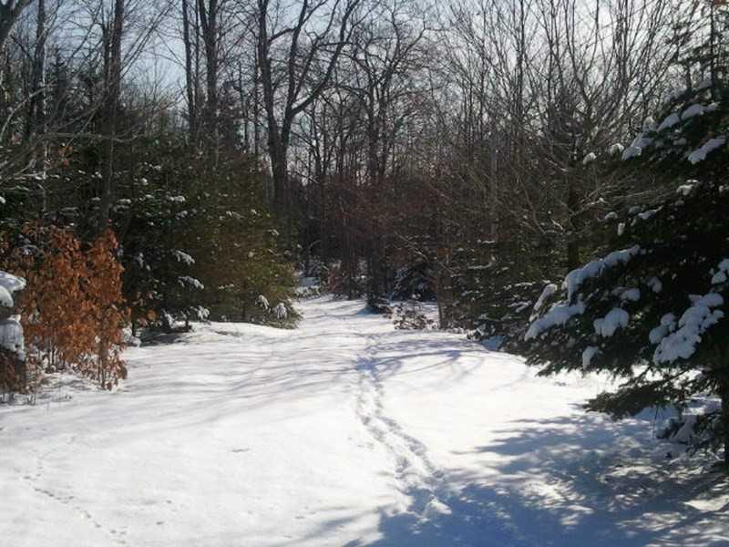 919 Winkumpaugh Road Ellsworth, ME 04605 - Photo 15 of 17 Land. Driveway