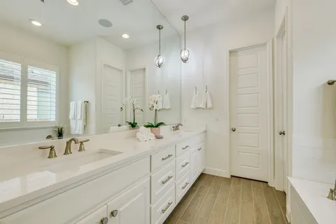 a bathroom with a double vanity sink a mirror and a shower