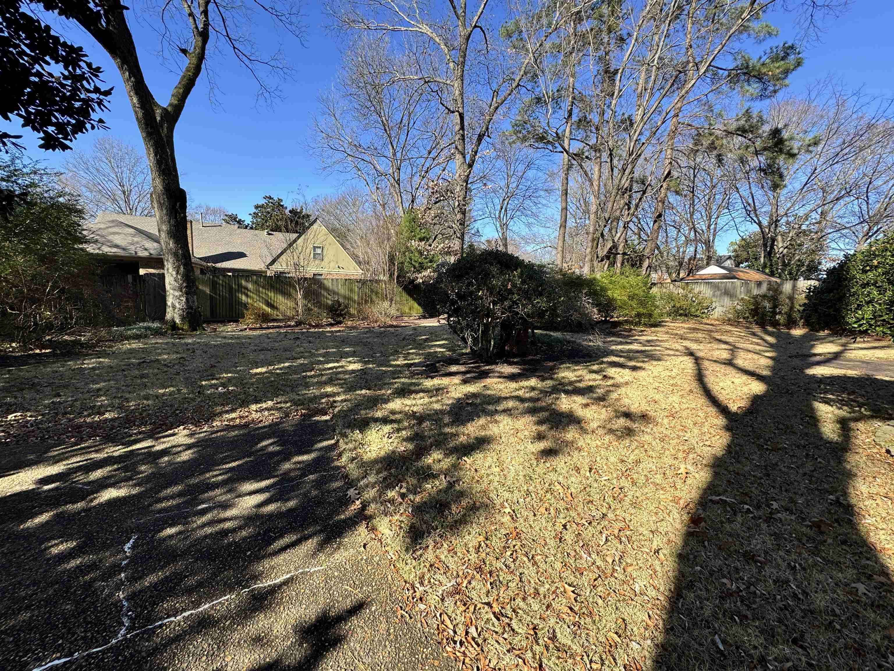 1979 Kirby Parkway Memphis, TN 38119 - Photo 26 of 28 a view of a yard with plants and trees