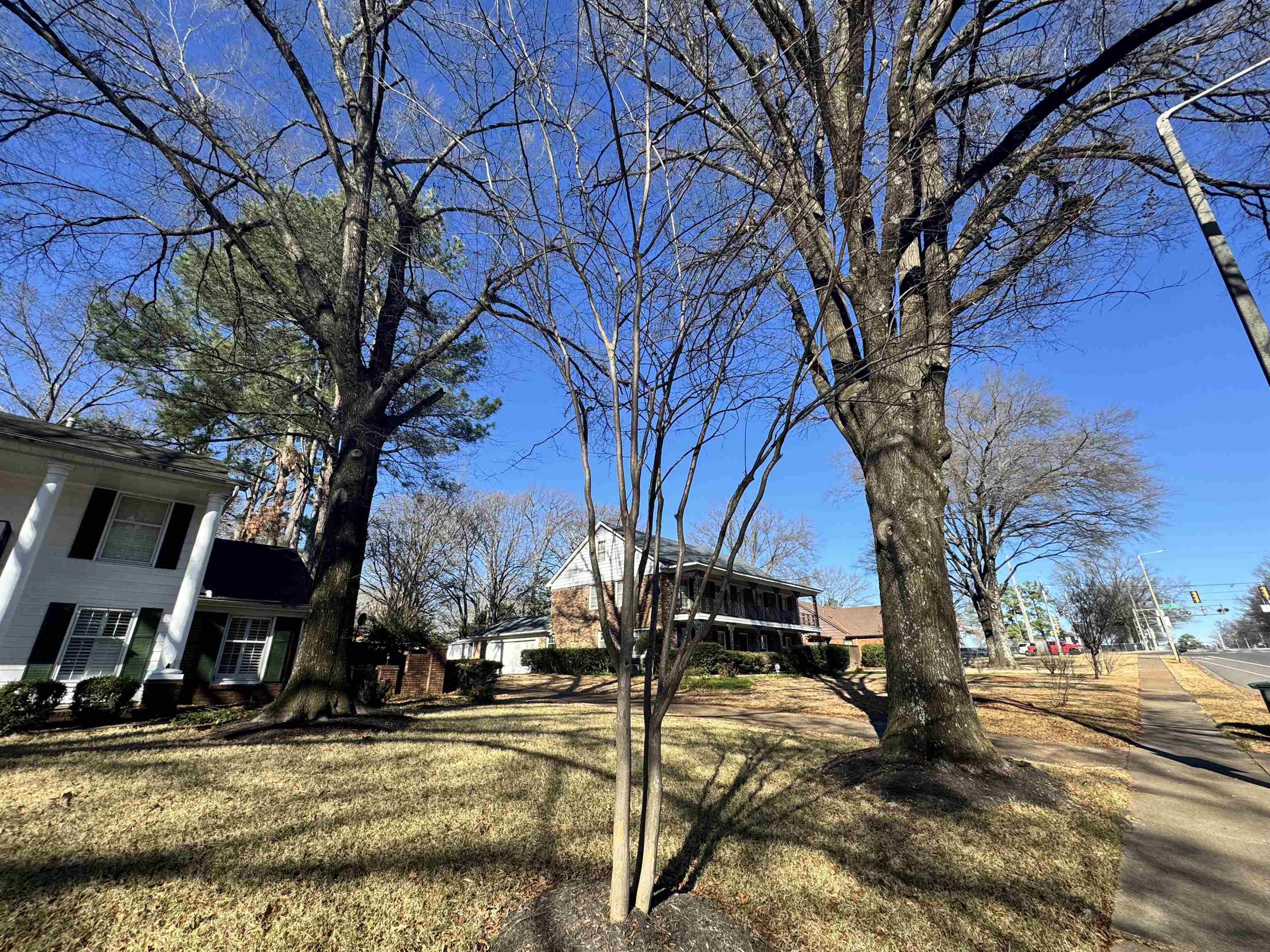 1979 Kirby Parkway Memphis, TN 38119 - Photo 27 of 28 a view of street with yard and trees