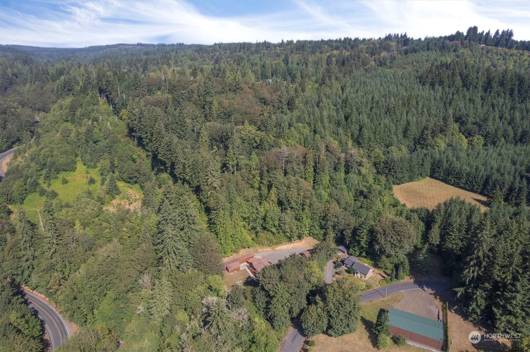 203 Don Martin Road Longview, WA 98632 - Photo 39 of 39 a view of a forest with a mountain