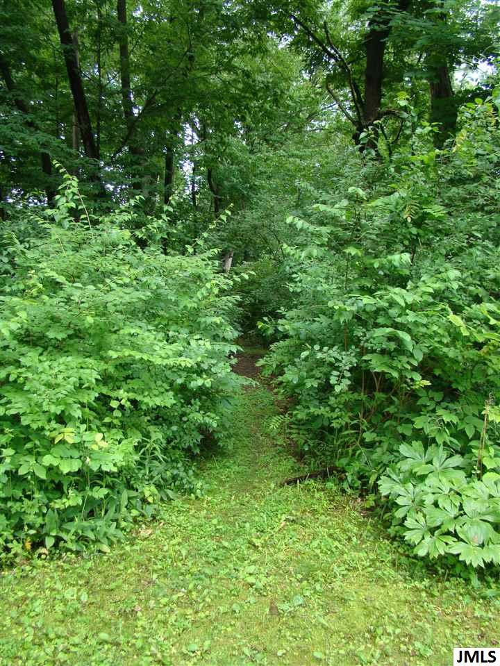 2901 Walcott Road Jackson, MI 49201 - Photo 24 of 24 Photo 24