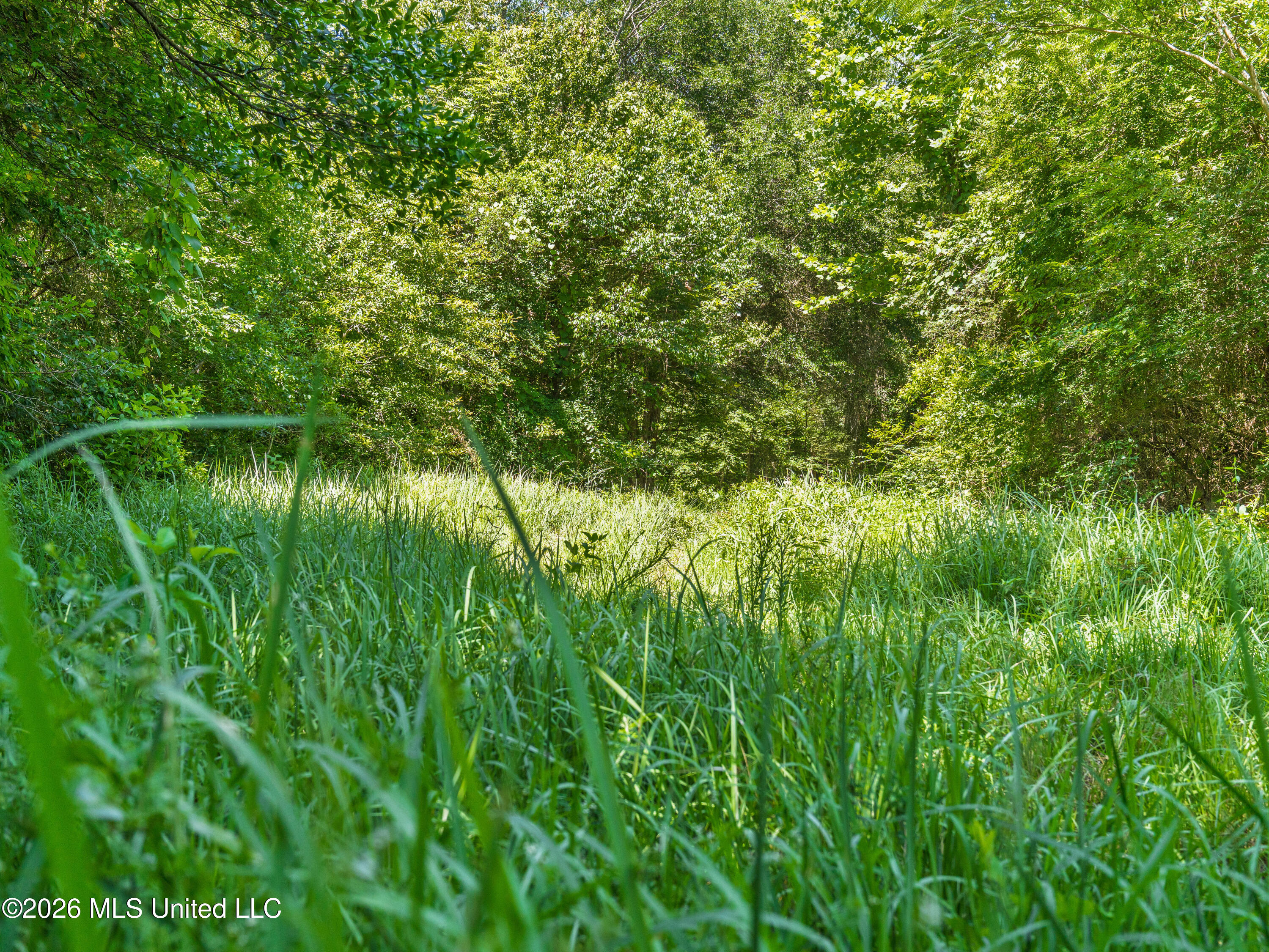 23 Co Road Bay Springs, MS 39422 - Photo 38 of 64 A7403813