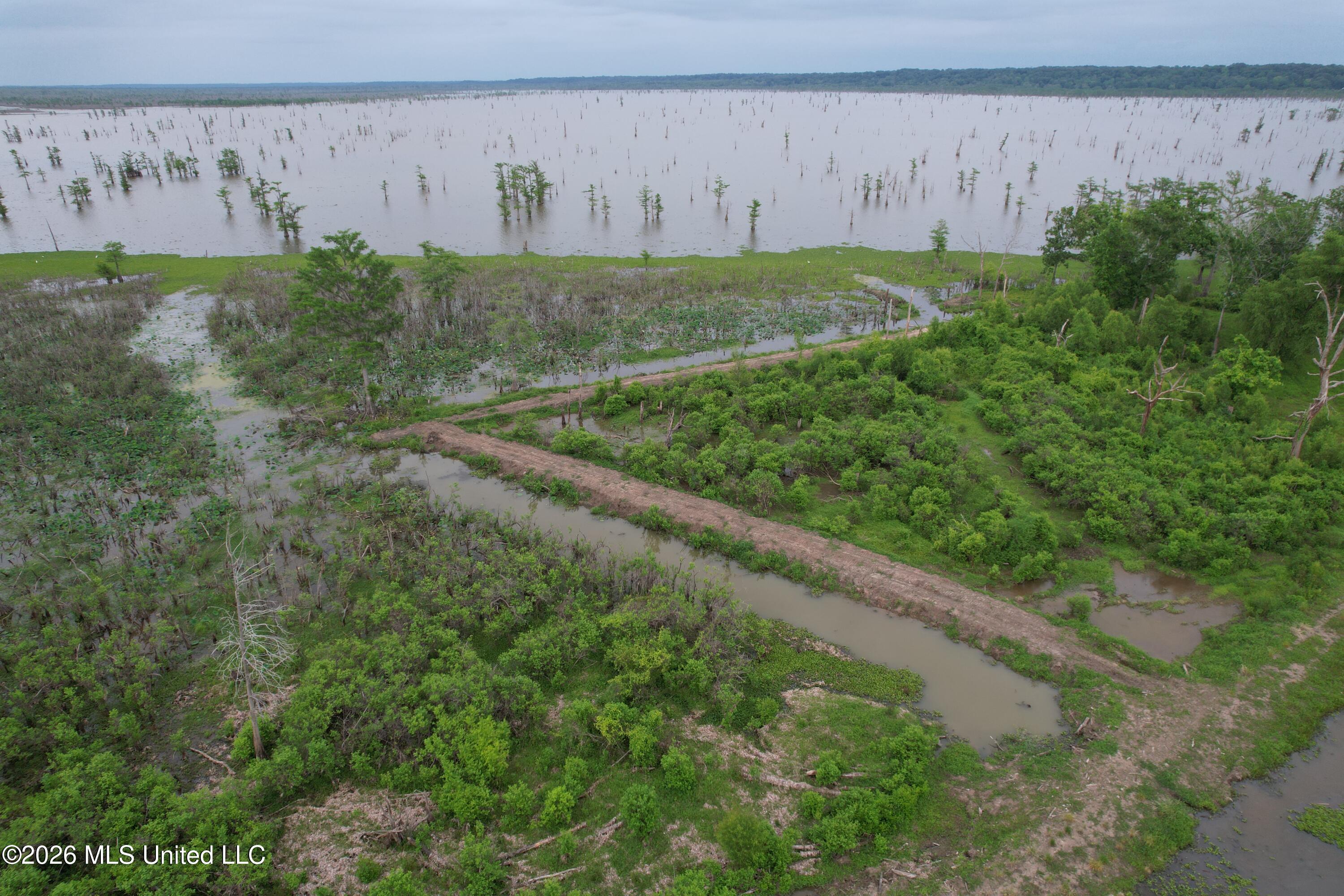 Lake Mary Road Woodville, MS 39669 - Photo 14 of 39 DJI_0972