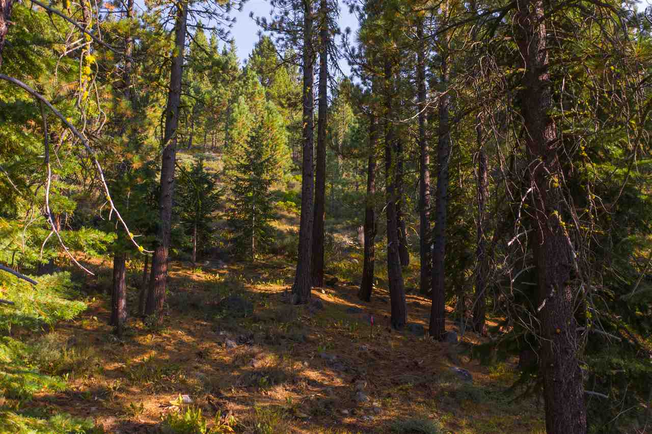 134 Tiger Tail Road Olympic Valley, CA 96146 - Photo 3 of 15 Gallery Image 3