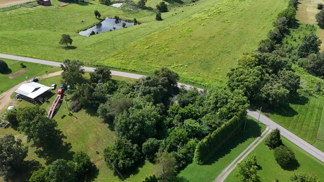 a view of a garden with an outdoor space